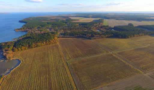 Photo #26 of Off Harvest Point Road, Elizabeth City, NC 170.0 acres