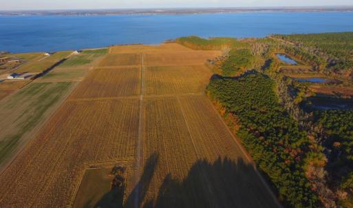 Photo #31 of Off Harvest Point Road, Elizabeth City, NC 170.0 acres