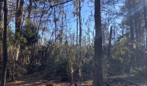 Photo #33 of Off Harvest Point Road, Elizabeth City, NC 170.0 acres