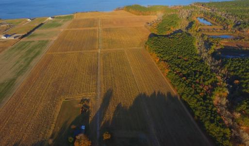 Photo #28 of Off Harvest Point Road, Elizabeth City, NC 170.0 acres