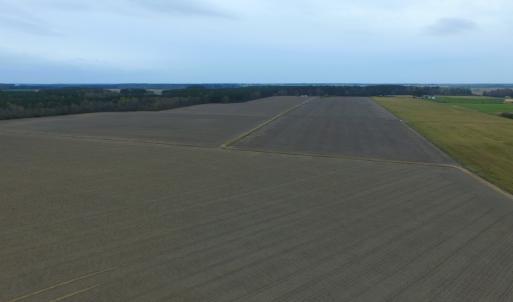 Photo #21 of Off Harvest Point Road, Elizabeth City, NC 170.0 acres
