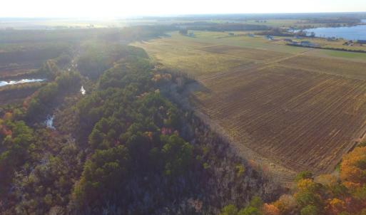 Photo #37 of Off Harvest Point Road, Elizabeth City, NC 170.0 acres