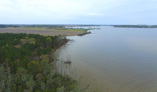 Photo #39 of Off Harvest Point Road, Elizabeth City, NC 170.0 acres