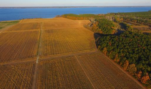 Photo #42 of Off Harvest Point Road, Elizabeth City, NC 170.0 acres