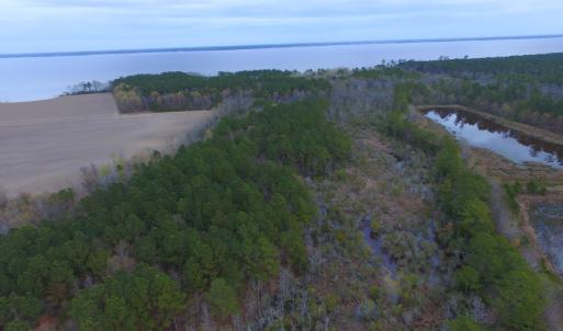Photo #43 of Off Harvest Point Road, Elizabeth City, NC 170.0 acres