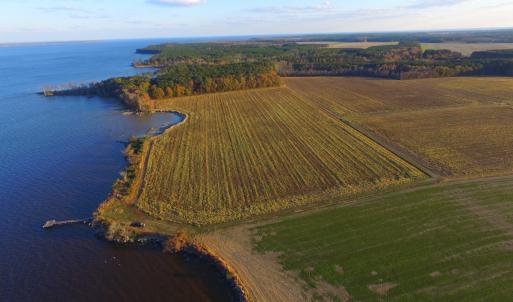 Photo #45 of Off Harvest Point Road, Elizabeth City, NC 170.0 acres