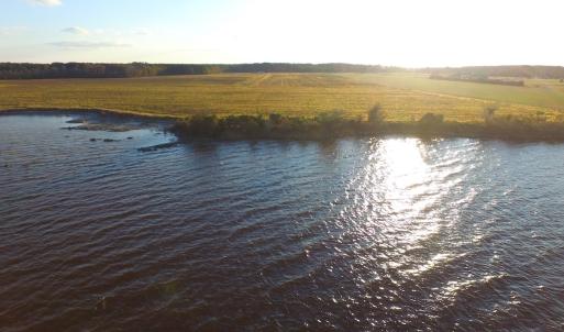 Photo #46 of Off Harvest Point Road, Elizabeth City, NC 170.0 acres