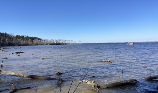 Photo #50 of Off Harvest Point Road, Elizabeth City, NC 170.0 acres