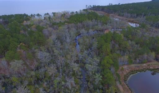 Photo #52 of Off Harvest Point Road, Elizabeth City, NC 170.0 acres