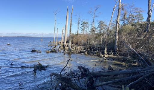Photo #54 of Off Harvest Point Road, Elizabeth City, NC 170.0 acres