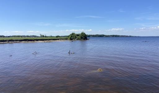 Photo #55 of Off Harvest Point Road, Elizabeth City, NC 170.0 acres