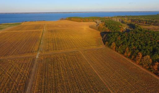 Photo #56 of Off Harvest Point Road, Elizabeth City, NC 170.0 acres