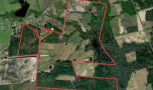 Photo #45 of 750 Sumner Road, Pink Hill, NC 230.0 acres