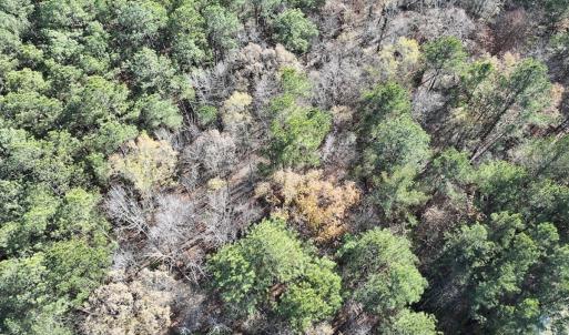 Photo #13 of SOLD property in Off River Road , Henrico, NC 2.5 acres