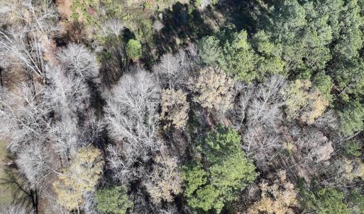 Photo #14 of SOLD property in Off River Road , Henrico, NC 2.5 acres