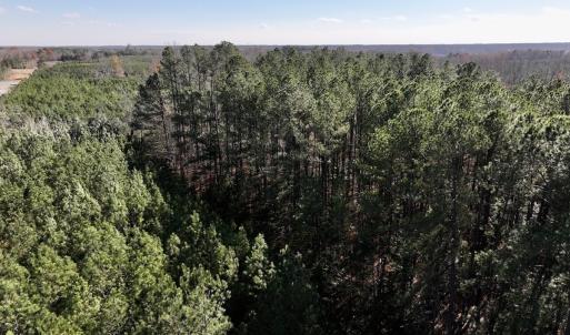 Photo #17 of SOLD property in Off River Road , Henrico, NC 2.5 acres