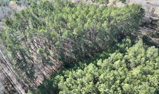Photo #14 of SOLD property in Off River Road, Henrico, NC 2.5 acres
