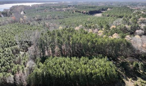 Photo #2 of SOLD property in Off River Road, Henrico, NC 2.5 acres