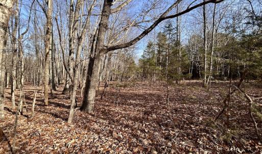 Photo #10 of SOLD property in Off Wheeler Rd, Lynchburg, VA 82.2 acres