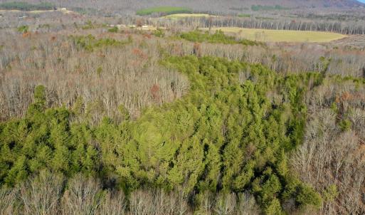Photo #11 of SOLD property in Off Wheeler Rd, Lynchburg, VA 82.2 acres
