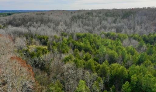Photo #12 of SOLD property in Off Wheeler Rd, Lynchburg, VA 82.2 acres
