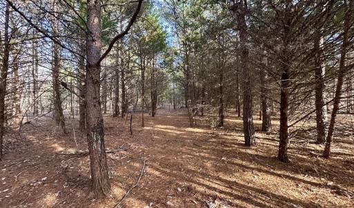 Photo #14 of SOLD property in Off Wheeler Rd, Lynchburg, VA 82.2 acres