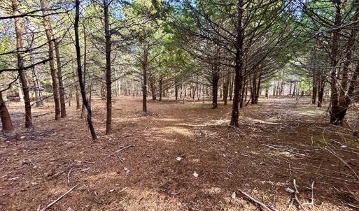 Photo #16 of SOLD property in Off Wheeler Rd, Lynchburg, VA 82.2 acres