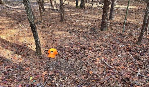 Photo #17 of SOLD property in Off Wheeler Rd, Lynchburg, VA 82.2 acres