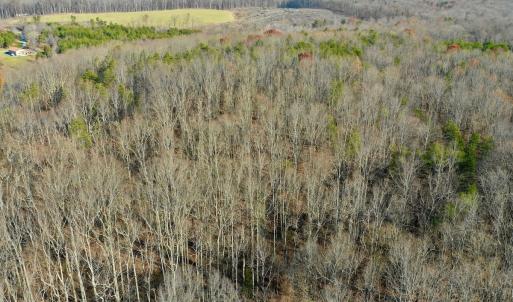 Photo #2 of SOLD property in Off Wheeler Rd, Lynchburg, VA 82.2 acres