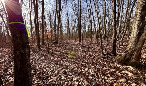 Photo #20 of SOLD property in Off Wheeler Rd, Lynchburg, VA 82.2 acres