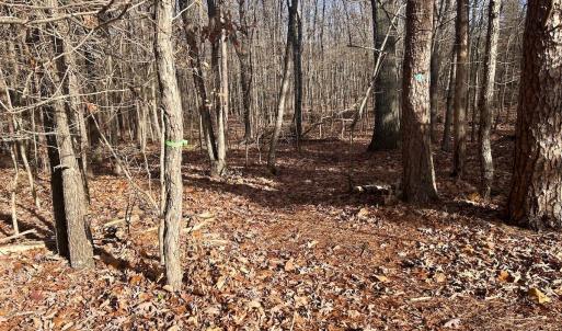 Photo #6 of SOLD property in Off Wheeler Rd, Lynchburg, VA 82.2 acres