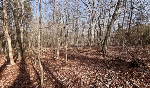 Photo #8 of SOLD property in Off Wheeler Rd, Lynchburg, VA 82.2 acres