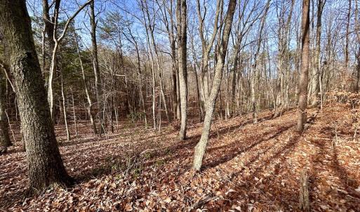 Photo #21 of SOLD property in Off Wheeler Rd, Lynchburg, VA 82.2 acres