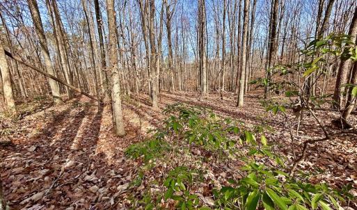 Photo #23 of SOLD property in Off Wheeler Rd, Lynchburg, VA 82.2 acres