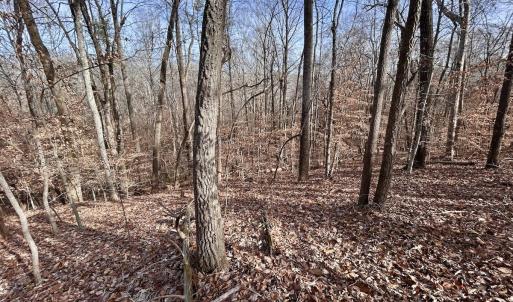 Photo #24 of SOLD property in Off Wheeler Rd, Lynchburg, VA 82.2 acres