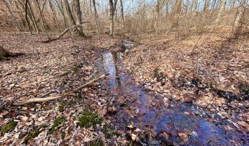 Photo #28 of SOLD property in Off Wheeler Rd, Lynchburg, VA 82.2 acres