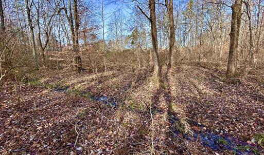 Photo #29 of SOLD property in Off Wheeler Rd, Lynchburg, VA 82.2 acres
