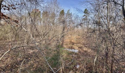 Photo #32 of SOLD property in Off Wheeler Rd, Lynchburg, VA 82.2 acres