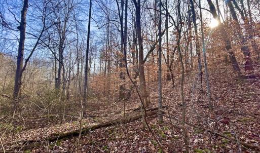 Photo #33 of SOLD property in Off Wheeler Rd, Lynchburg, VA 82.2 acres