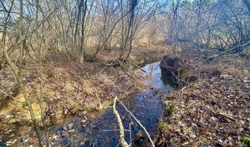 Photo #34 of SOLD property in Off Wheeler Rd, Lynchburg, VA 82.2 acres