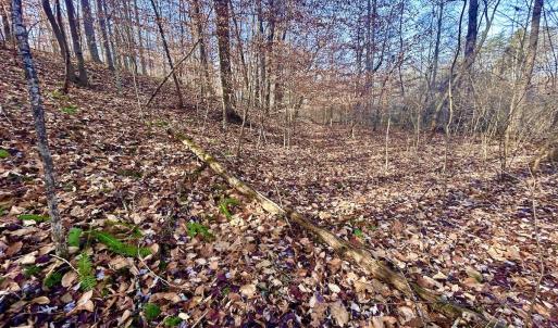 Photo #35 of SOLD property in Off Wheeler Rd, Lynchburg, VA 82.2 acres