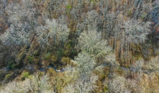 Photo #36 of SOLD property in Off Wheeler Rd, Lynchburg, VA 82.2 acres