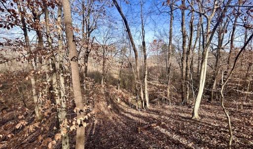 Photo #39 of SOLD property in Off Wheeler Rd, Lynchburg, VA 82.2 acres