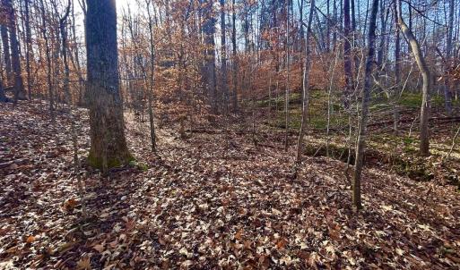 Photo #40 of SOLD property in Off Wheeler Rd, Lynchburg, VA 82.2 acres