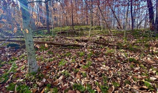Photo #42 of SOLD property in Off Wheeler Rd, Lynchburg, VA 82.2 acres