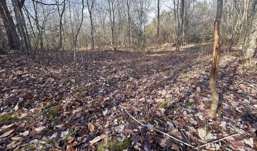 Photo #43 of SOLD property in Off Wheeler Rd, Lynchburg, VA 82.2 acres