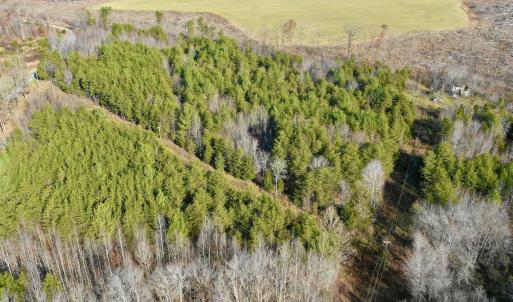 Photo #45 of SOLD property in Off Wheeler Rd, Lynchburg, VA 82.2 acres