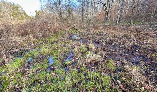 Photo #47 of SOLD property in Off Wheeler Rd, Lynchburg, VA 82.2 acres