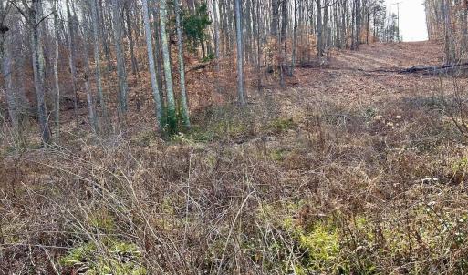 Photo #49 of SOLD property in Off Wheeler Rd, Lynchburg, VA 82.2 acres