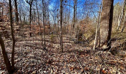 Photo #50 of SOLD property in Off Wheeler Rd, Lynchburg, VA 82.2 acres